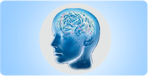 brain_activity4